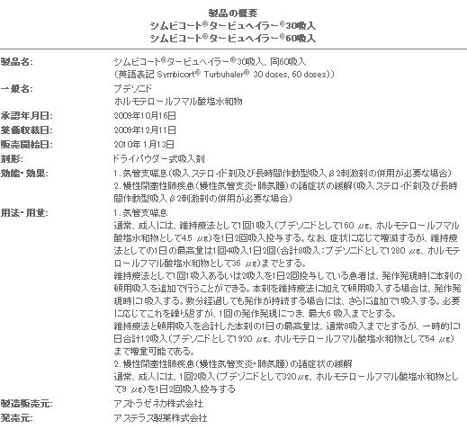 概要